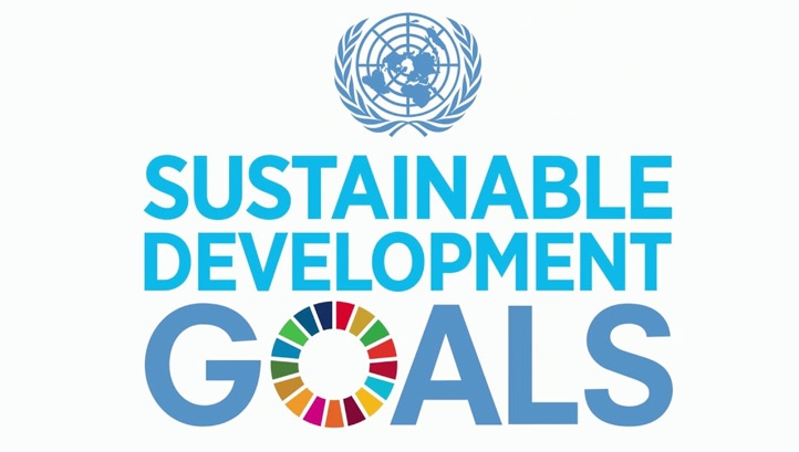 Johnson has said his recovery plans should result in progress towards shared goals, such as the SDGs, getting "back on track"